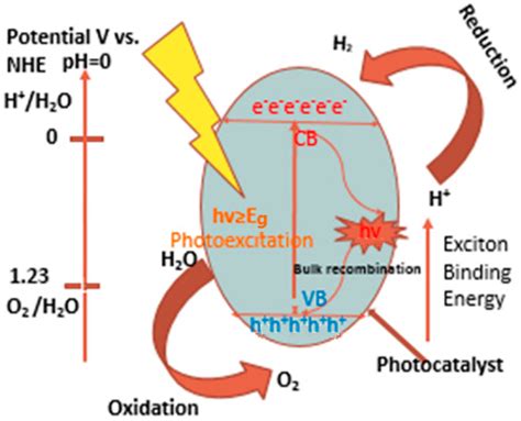 Catalysts | Free Full-Text | Transition Metal Dichalcogenides [MX2] in Photocatalytic Water ...