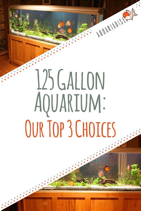 125 Gallon Aquarium: Our Top 3 Choices For The Money