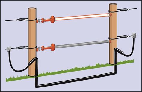 Electric Fencing for Cattle and Sheep