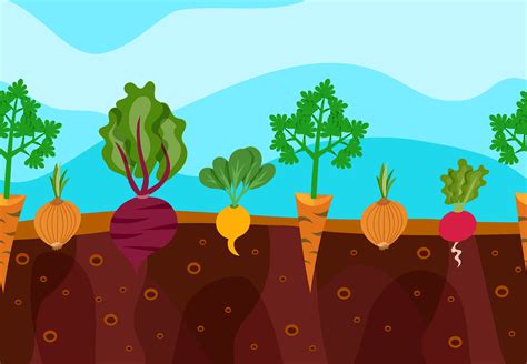 Growing Vegetables Illustration 469833 Vector Art at Vecteezy