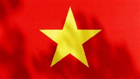 Vietnam protest over council flag request | Herald Sun