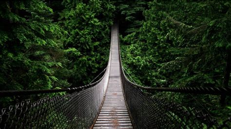 Capilano Suspension Bridge | Club WyndhamClub Wyndham