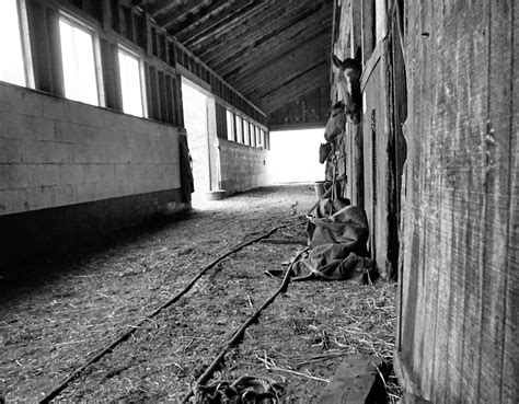 The Haunted Barn - An Equestrian Life