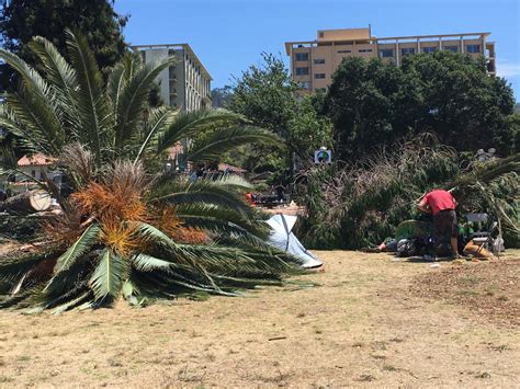 Revitalizing our People’s Park in Berkeley – People’s Park