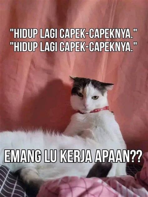 Meme Susahnya Cari Kerja Ini Bikin Senyum Miris