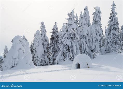 Camping with Igloo in the Snow Stock Image - Image of pathway, outdoors ...