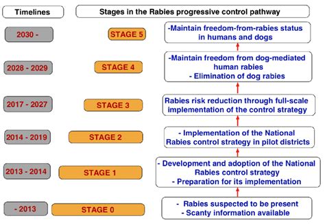 Stages Of Rabies In Humans