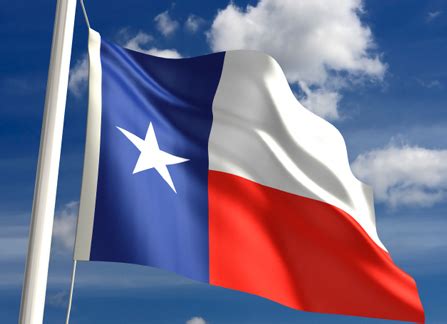 State of Texas Foreclosure Resource Links | Mandelman Matters