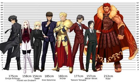 Fate/Zero Character Height Chart 1.1 : fatestaynight