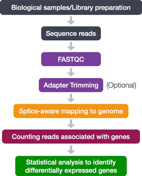 RNA-Seq workflow | Introduction to RNA-seq using high performance computing (Orchestra) - ARCHIVED