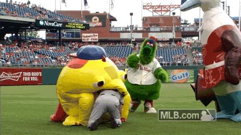 Giant iguana mascot eats man on the field during Phillies game Funny ...