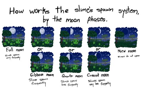 What moon phase do slimes spawn? - Rankiing Wiki : Facts, Films, Séries, Animes Streaming ...