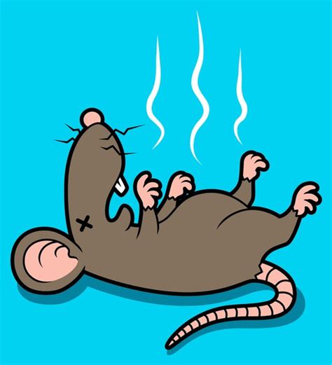 Dead Rat Cartoon Royalty-Free Images, Stock Photos & Pictures ...