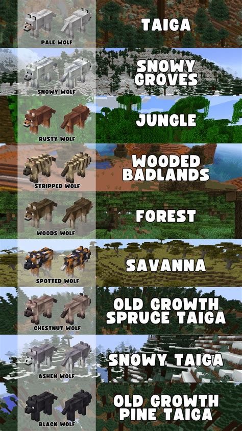 Minecraft wolves types and biomes in 2024 | Minecraft wolf, Minecraft, Minecraft blueprints