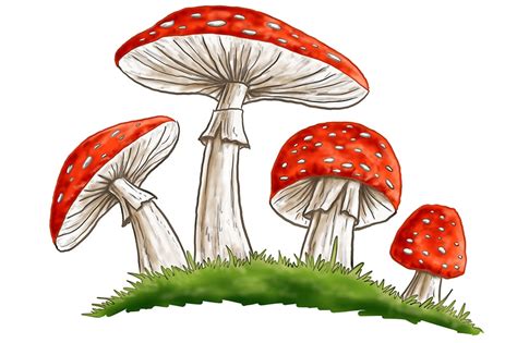 Mushroom drawing: BusinessHAB.com....................