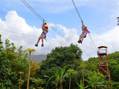 Rainforest Zipline Park - All You Need to Know BEFORE You Go (2024)