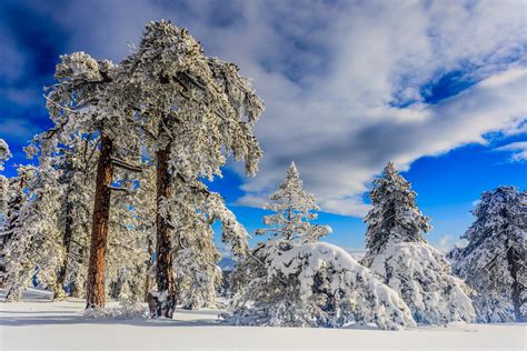 Snow at Troodos (102) | The impressive Troodos mountain rang… | Flickr