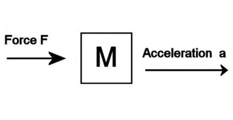 Equation For Mass Velocity And Acceleration - Tessshebaylo