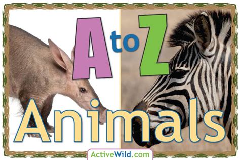 A to Z Animals List For Kids With Pictures & Facts. Animal a-z Information