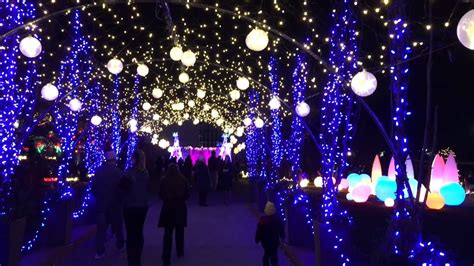 CHRISTMAS LIGHTS AT THE PHIPPS CONSERVATORY IN PITTSBURGH PA - YouTube