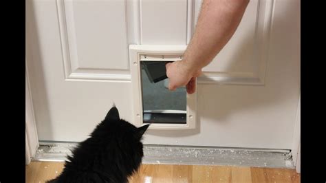 Cat Door Installation Invercargill at Helen Eure blog