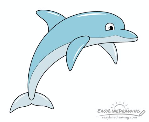 How to Draw a Dolphin Step by Step - EasyLineDrawing