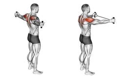 15 Teres Major And Teres Minor Strengthening Exercises - SET FOR SET