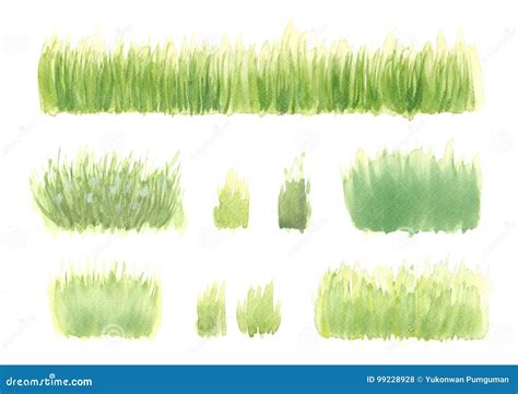 Set of Hand Drawn Watercolor Green Grass, Nature Paint Stock ...