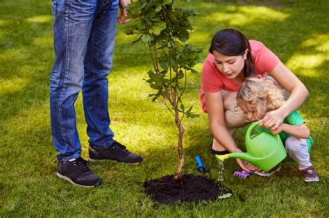 How to have an eco-friendly burial — The Living Urn