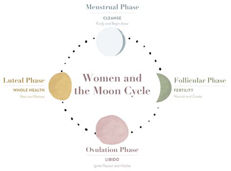 Women + The Mooncycle – Moontime Tea