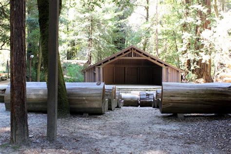 Hiking Big Basin Redwoods State Park - Making Thyme for Health