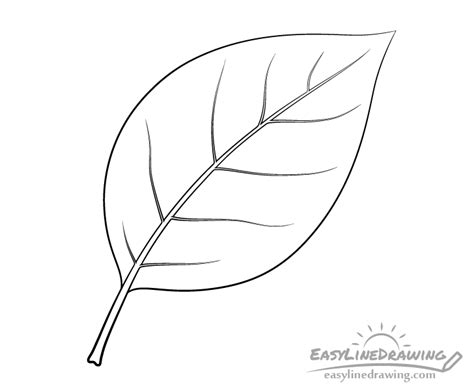 Update 84+ leaf sketch images best - in.eteachers