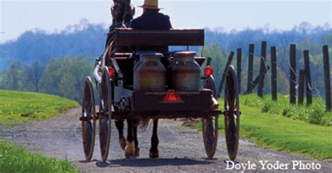 Amish wedding traditions | Ohio's Amish Country