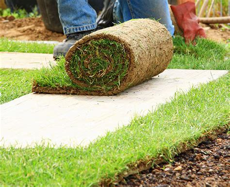 SOD INSTALLATION – 4Season’s Landscaping