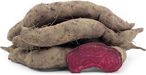 Purple Japanese Sweet Potato Information, Recipes and Facts