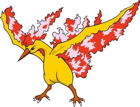 moltres wallpaper | Moltres pokemon, Pokemon, Pokemon pokedex