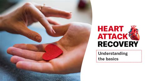 Know Basic Understanding of Heart Attack Recovery | Accord