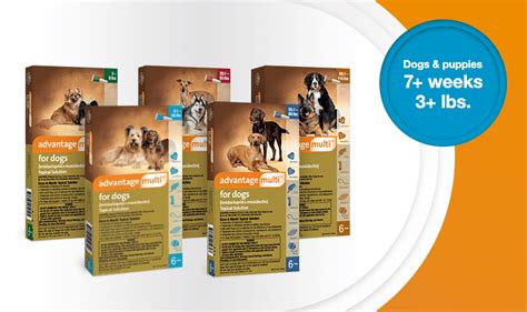 Advantage Multi® for Dogs | Vet-approved Flea and Heartworm Protection