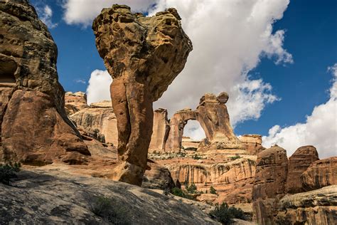 Angel arch, Canyonlands National Park, Utah. | Coyote Shuttle