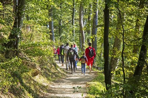 Can Walking improve your Mental Wellness? - New Milford Counseling Center