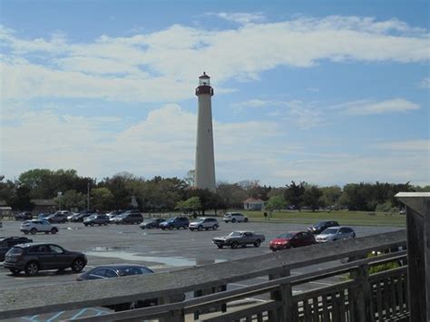 Cape May Bird Observatory (Cape May Point) - 2021 All You Need to Know ...