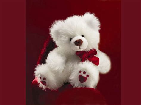 25 Smart Looking Teddy Bear Wallpapers – Design Urge