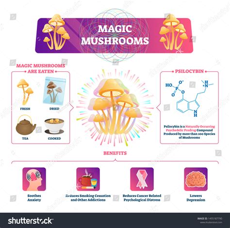 6 Benefits Magic Mushroom Royalty-Free Images, Stock Photos & Pictures | Shutterstock