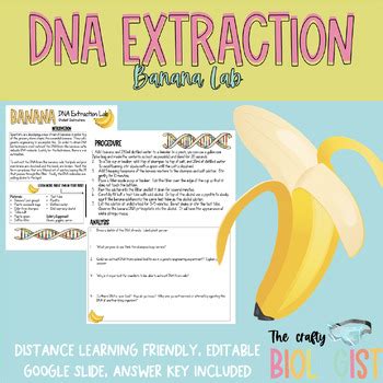 Banana DNA Extraction Lab by The Crafty Biologist | TpT