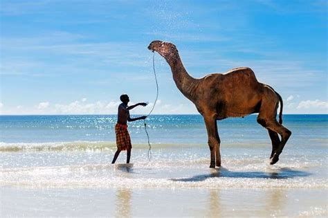 10 Surreal Beaches In Kenya That Portray The Soothing Side Of Africa ...