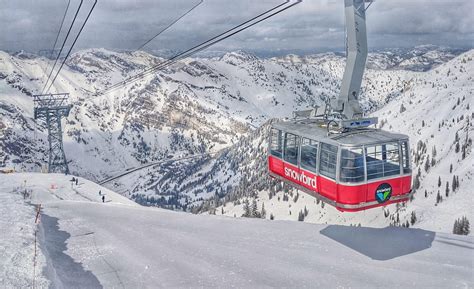 Snowbird - Go Ski Tours