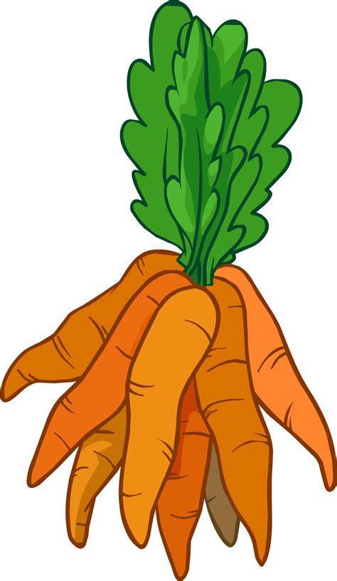 Ground clipart carrot plant, Ground carrot plant Transparent FREE for download on WebStockReview ...