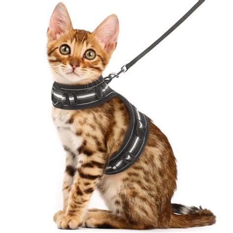 Cat Harness and Leash for Walking Escape Proof Review Price - CatPremier.com