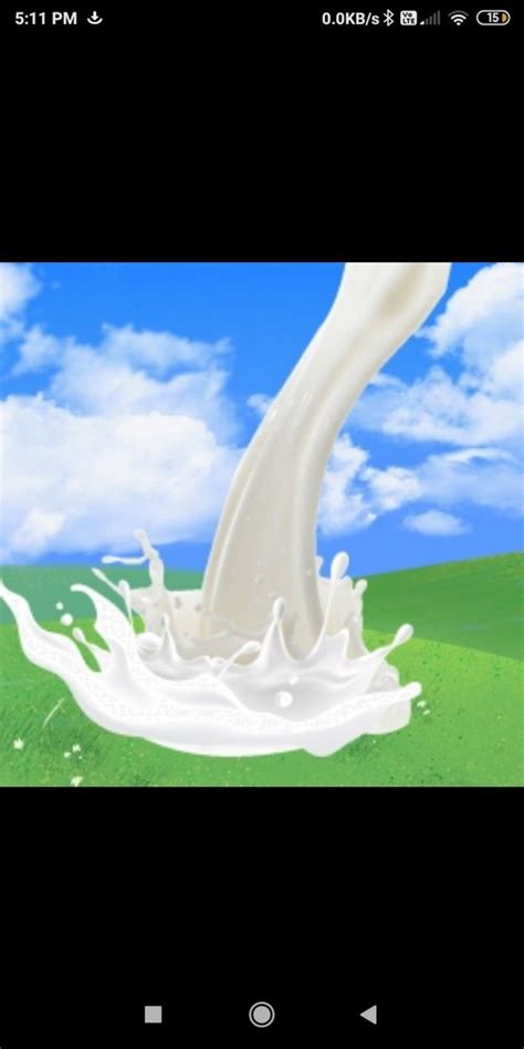 Buffalo Milk at Best Price in India