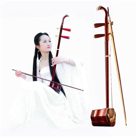 Chinese Erhu Folk String Instrument Ancient Mahogany Erheen Accessories String Bow Book ...